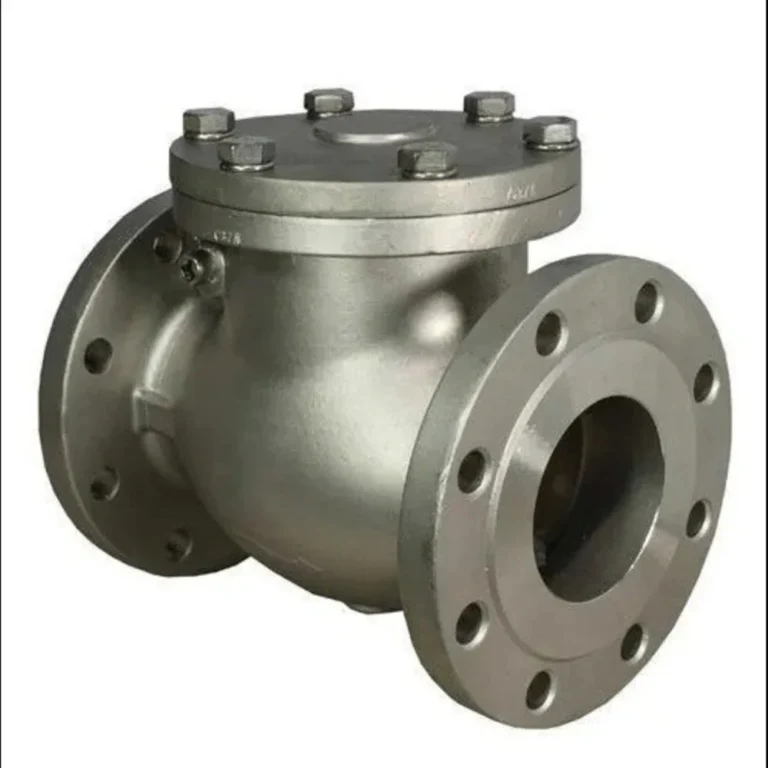 Check Valve-Aert